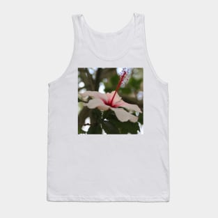 Hibiscus flower on its tree Tank Top